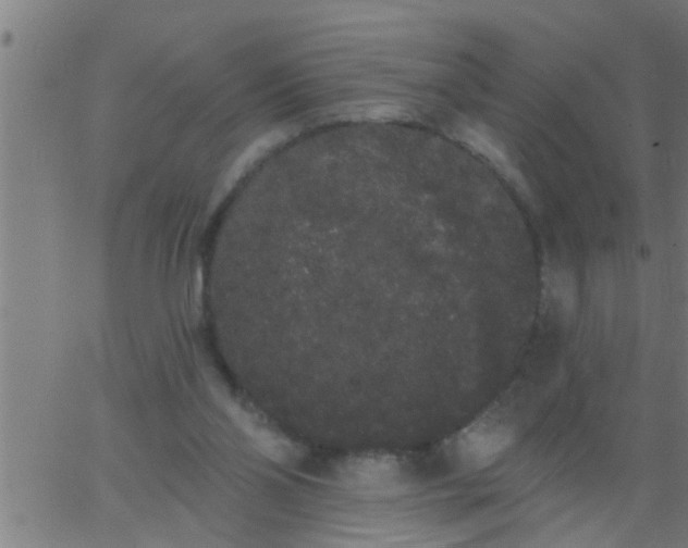 X0000062840110200601272026