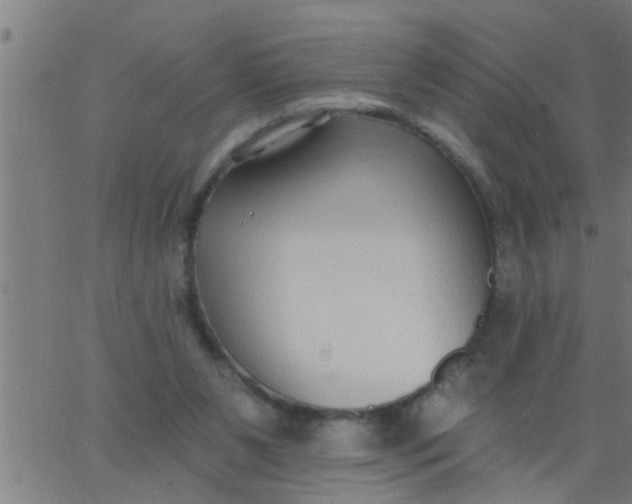 X0000062840111200601272026