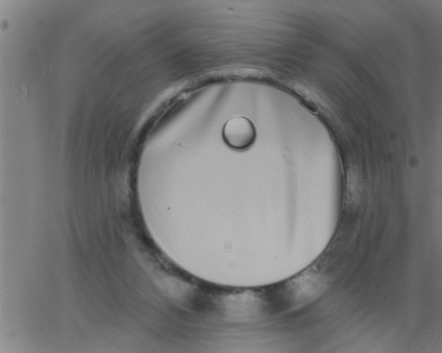 X0000062840112200601272026