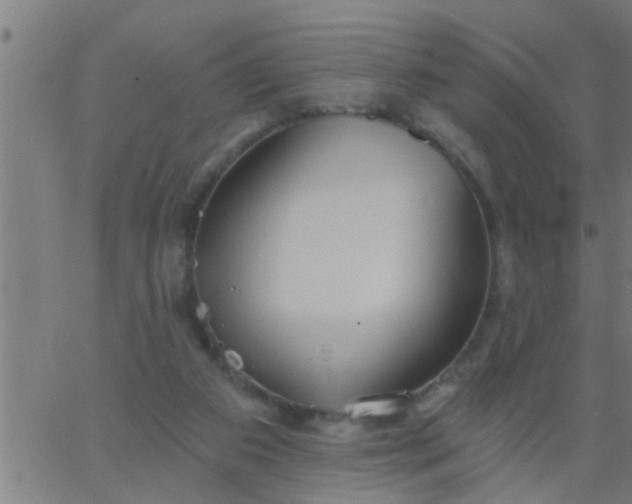 X0000062840113200601272026