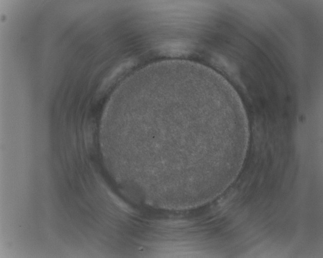 X0000062840114200601272026