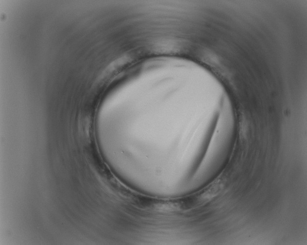 X0000062840115200601272026