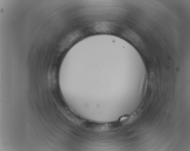 X0000062840116200601272026