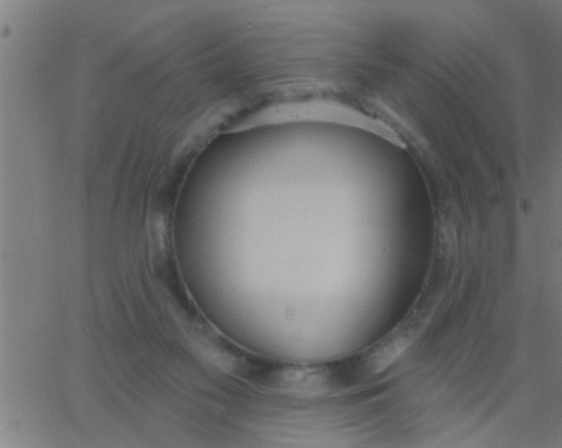 X0000062840117200601272026