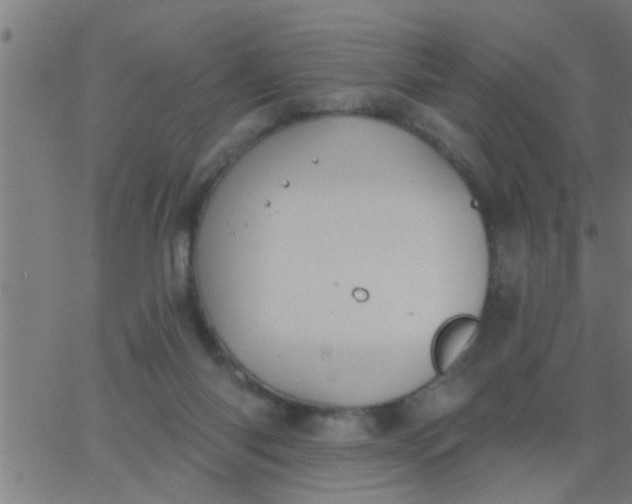 X0000062840118200601272026