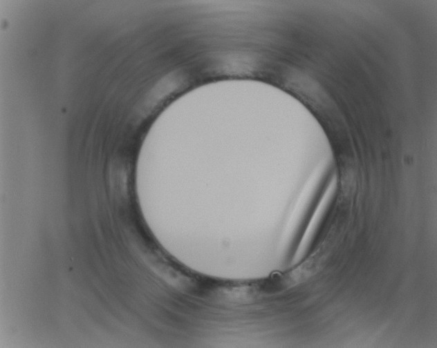 X0000062840120200601272026