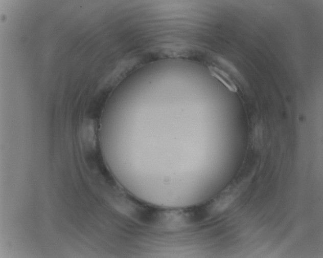 X0000062840121200601272026