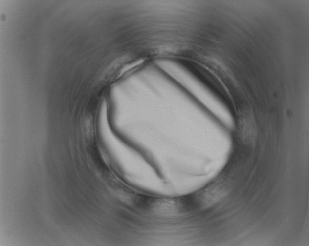 X0000062840123200601272026