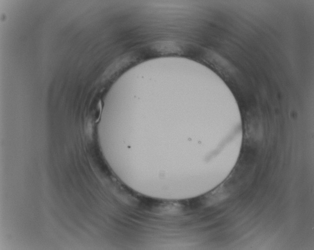 X0000062840124200601272026