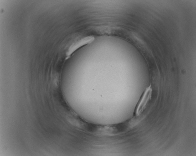 X0000062840125200601272026