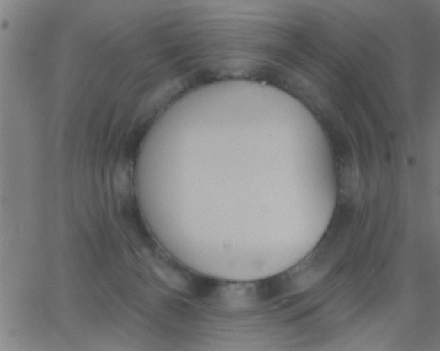 X0000062840126200601272026