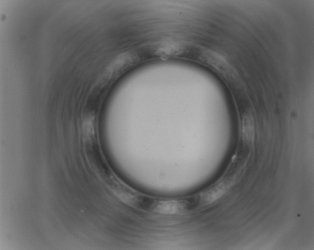 X0000062840127200601272026