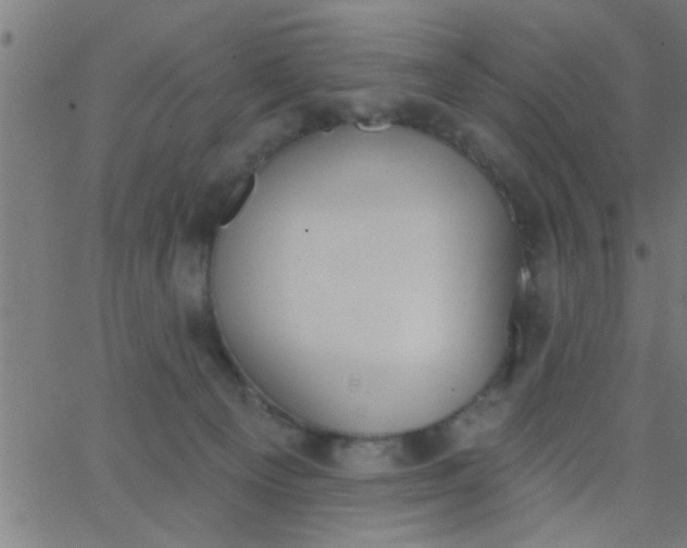 X0000062840129200601272026