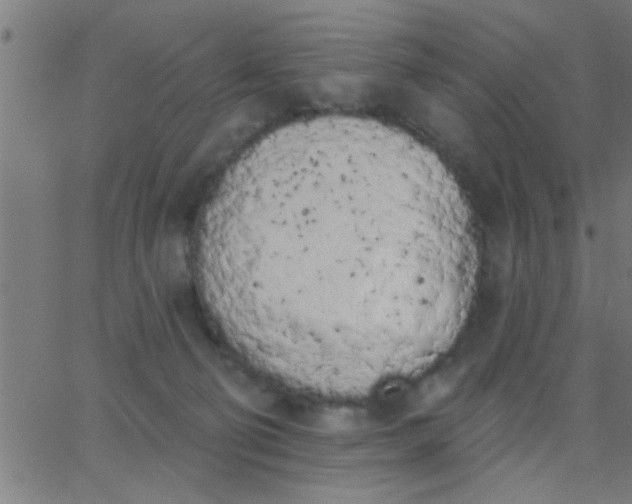 X0000062840130200601272026