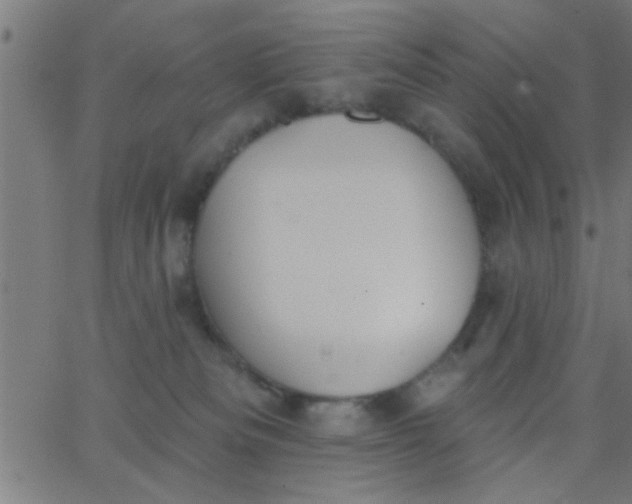 X0000062840133200601272026