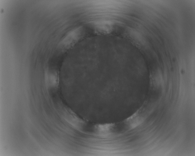 X0000062840134200601272026