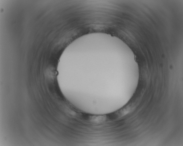 X0000062840135200601272026