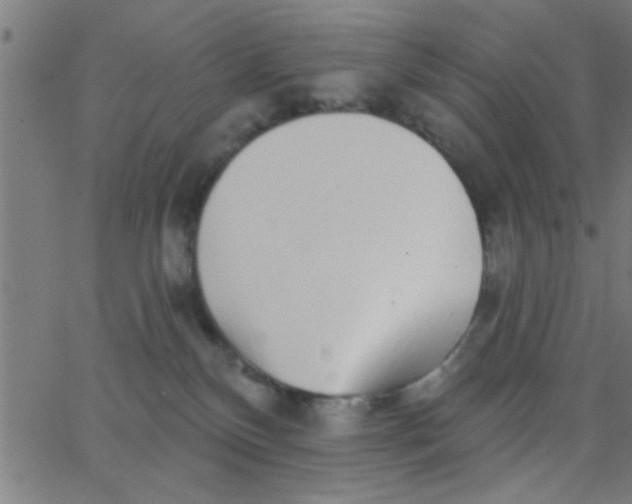 X0000062840136200601272026