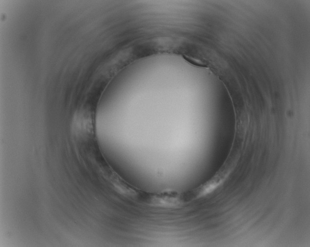 X0000062840137200601272026