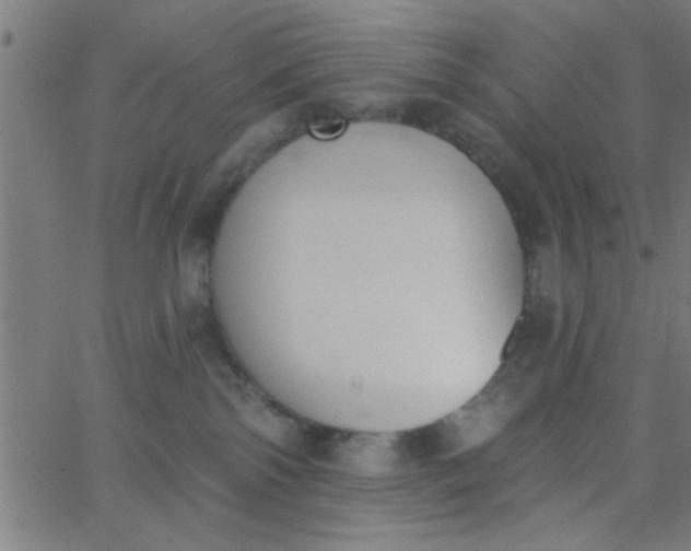 X0000062840138200601272026