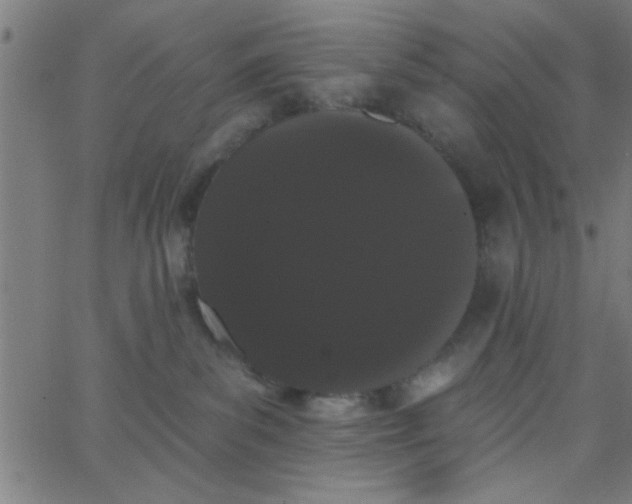 X0000062840139200601272026