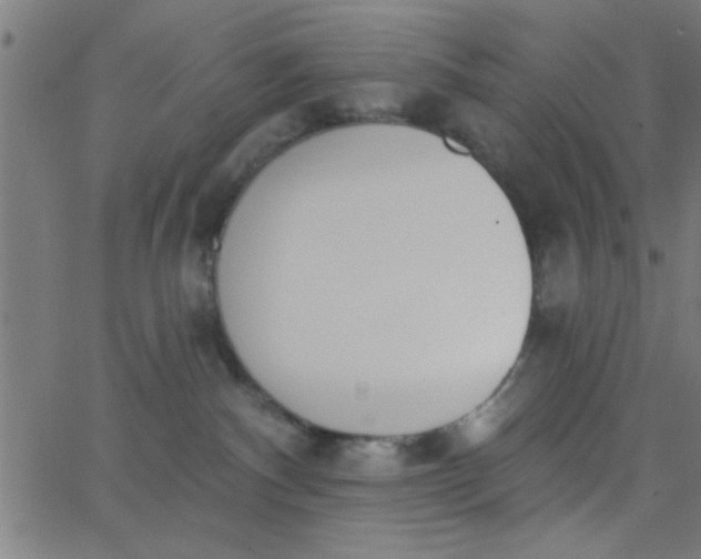 X0000062840140200601272026