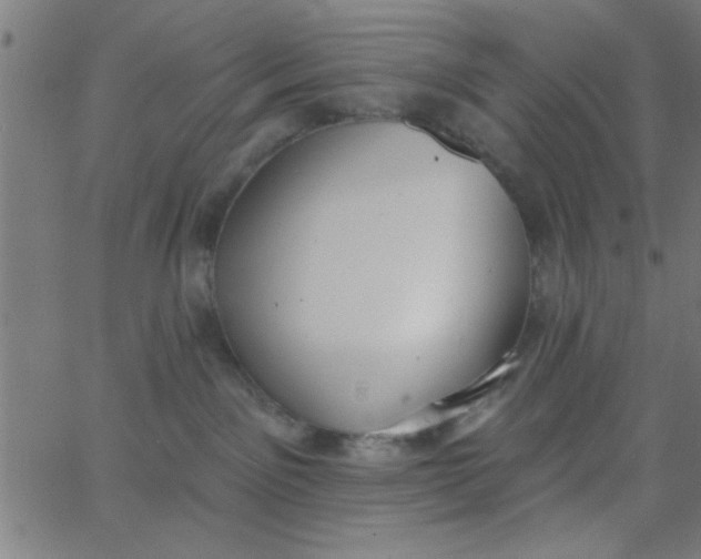 X0000062840141200601272026