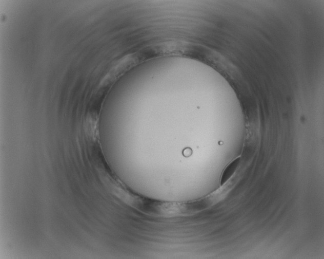 X0000062840142200601272025