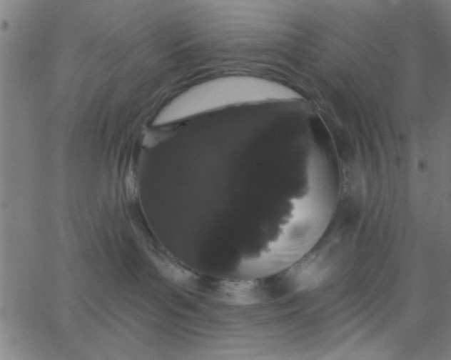 X0000062840143200601272025