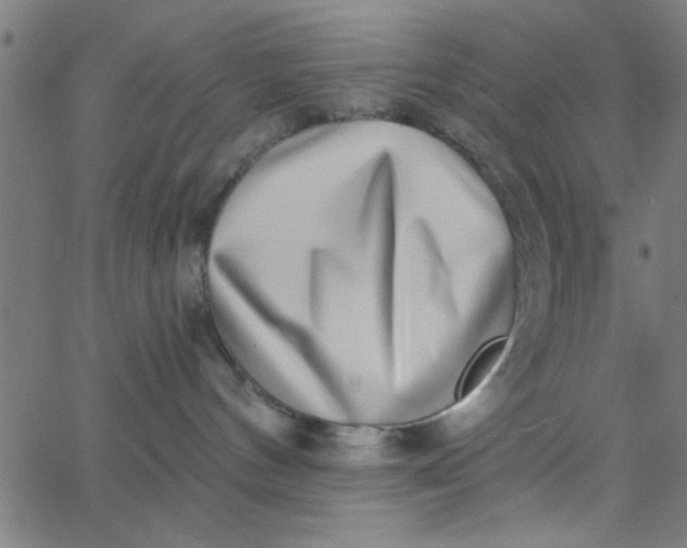 X0000062840144200601272025