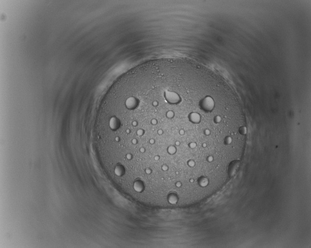 X0000062840145200601272025