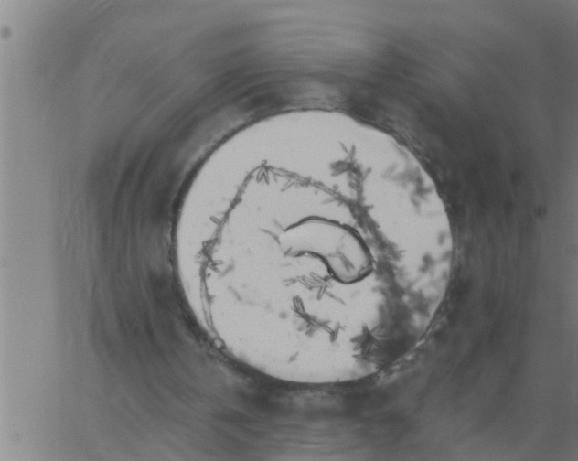 X0000062840146200601272025