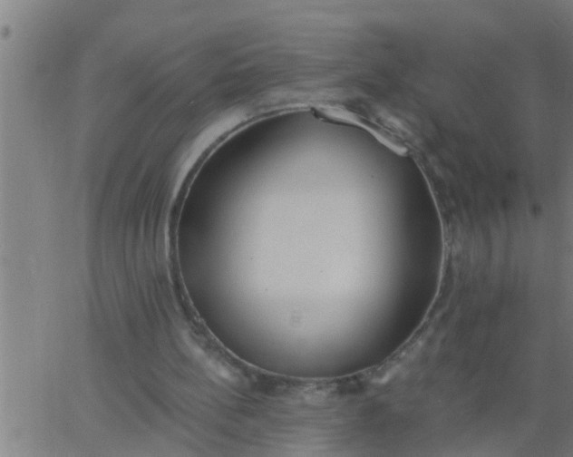 X0000062840148200601272025