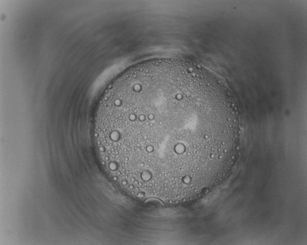 X0000062840149200601272025