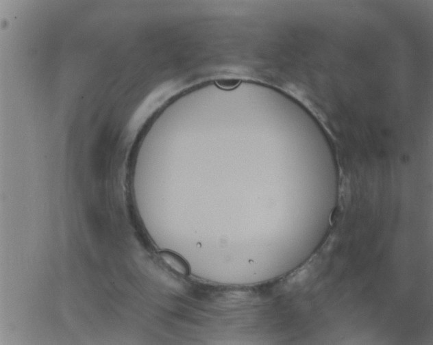 X0000062840151200601272025