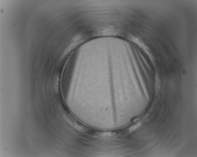 X0000062840153200601272025