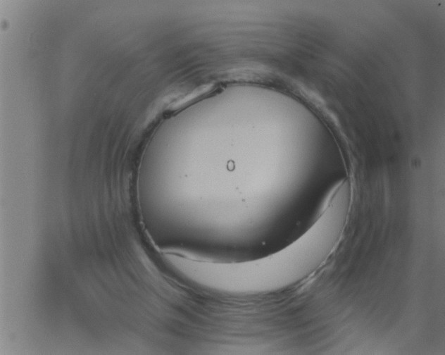 X0000062840154200601272025