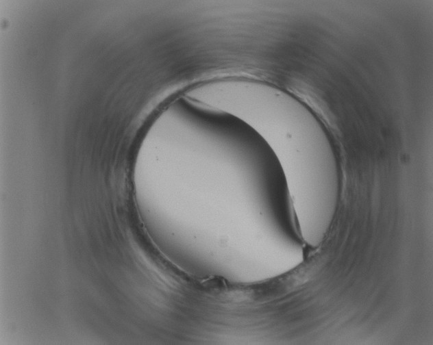 X0000062840156200601272025