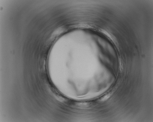 X0000062840157200601272025