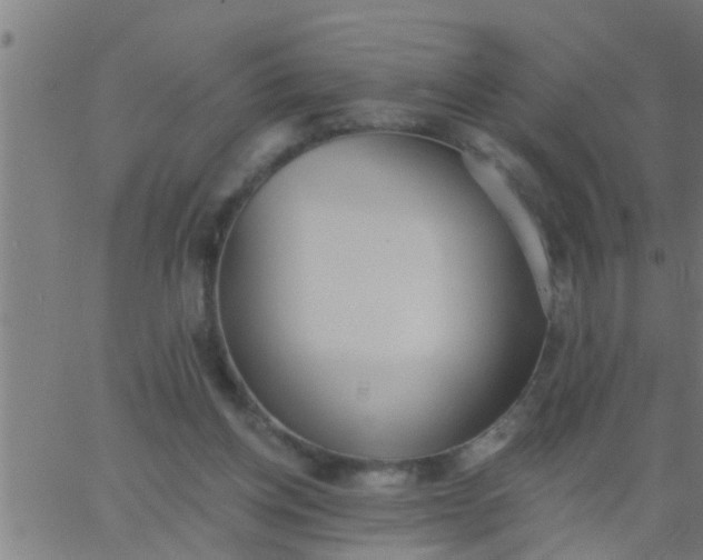 X0000062840158200601272025