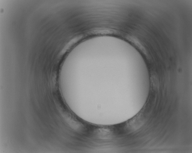 X0000062840159200601272025