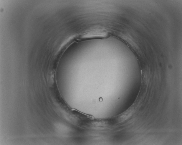 X0000062840160200601272025