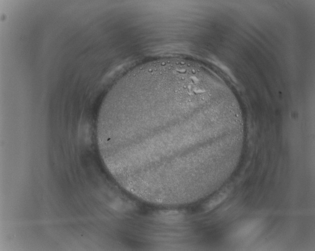 X0000062840161200601272025