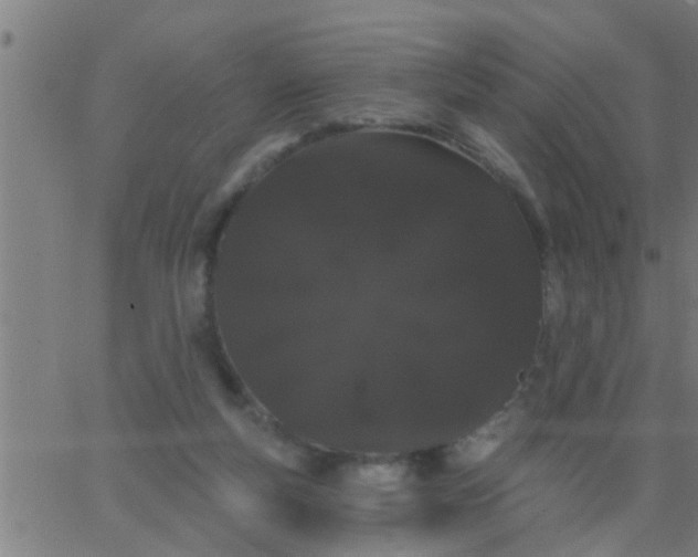 X0000062840163200601272025