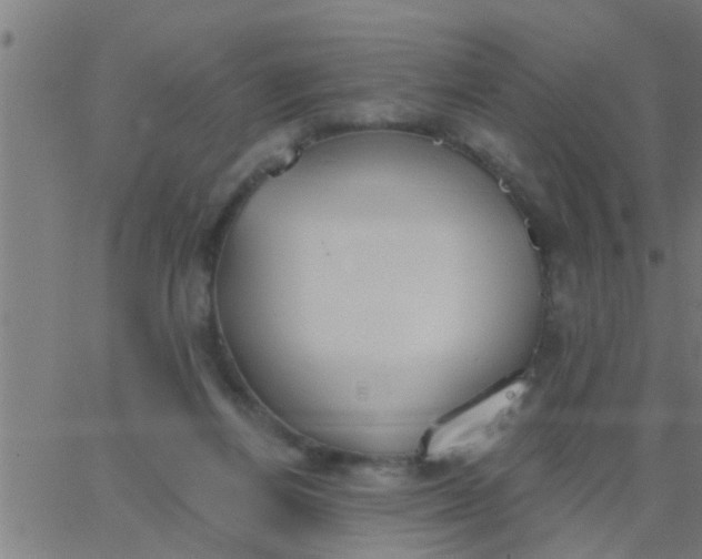 X0000062840164200601272025