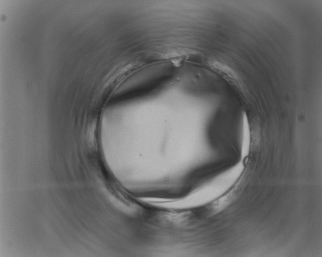 X0000062840166200601272025