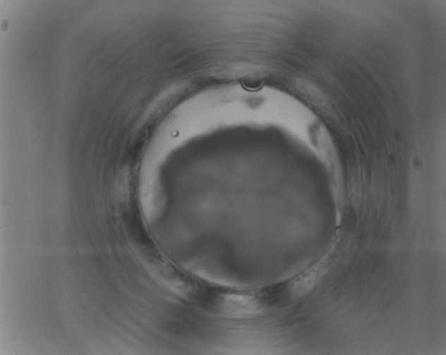 X0000062840167200601272025