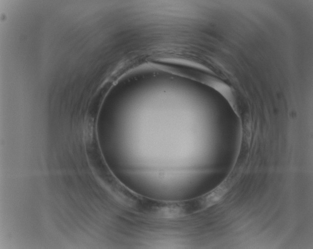 X0000062840168200601272025