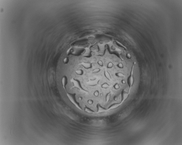 X0000062840169200601272025