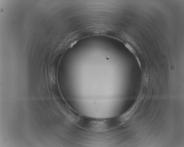 X0000062840170200601272025